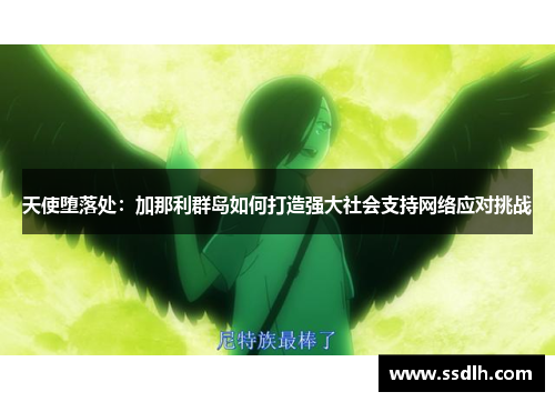 天使堕落处：加那利群岛如何打造强大社会支持网络应对挑战