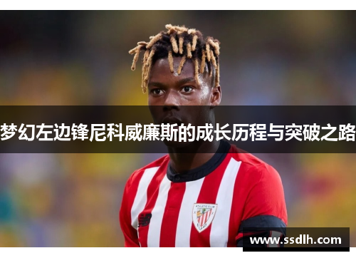 梦幻左边锋尼科威廉斯的成长历程与突破之路