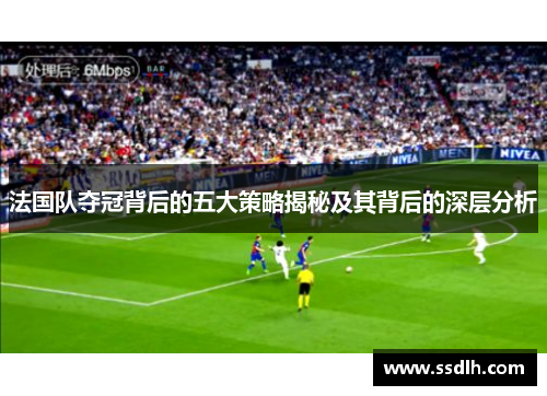 法国队夺冠背后的五大策略揭秘及其背后的深层分析