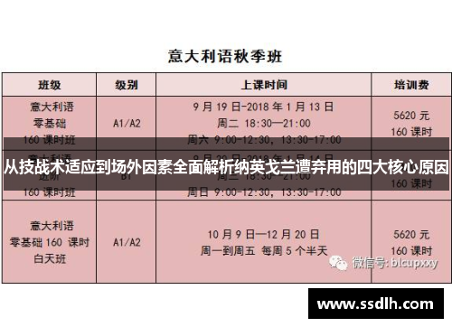 从技战术适应到场外因素全面解析纳英戈兰遭弃用的四大核心原因